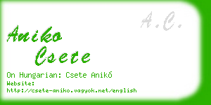 aniko csete business card